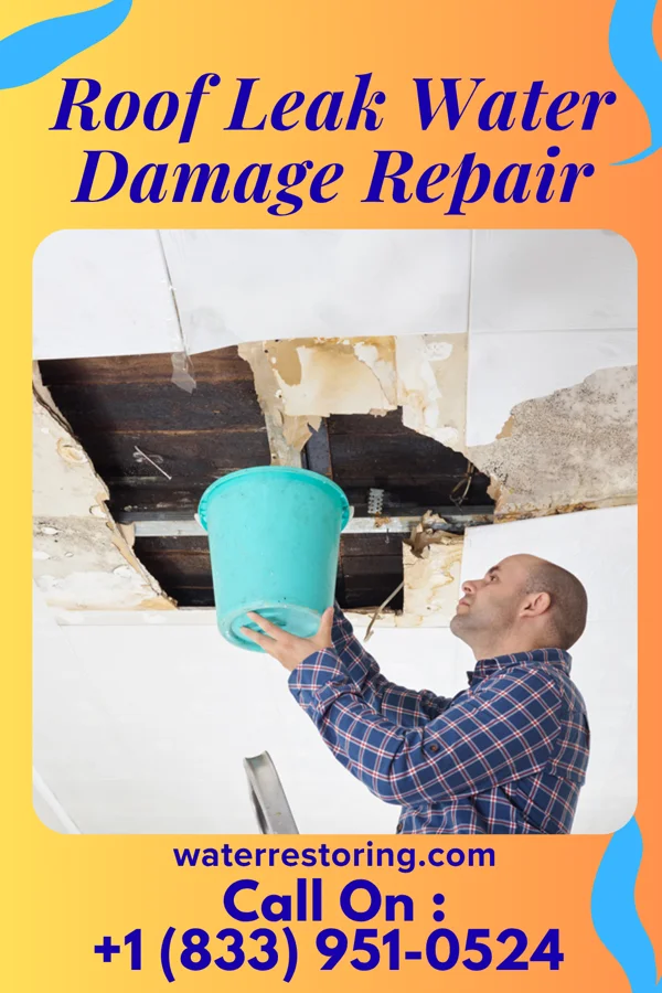 Roof Leak Water Damage Repair in Parker, KS